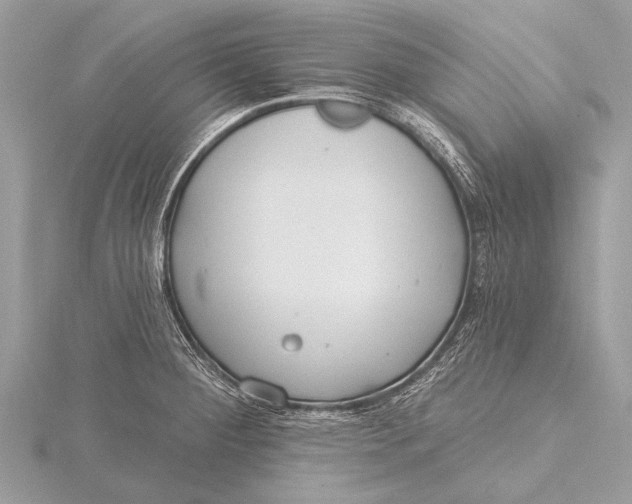 X0000115771284200912041424