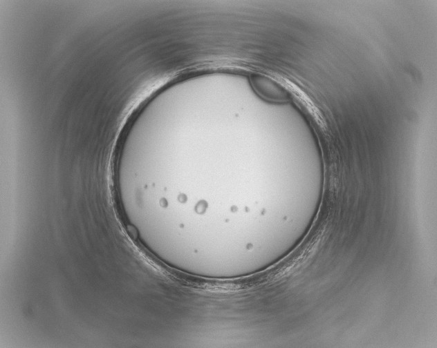 X0000115771285200912041424