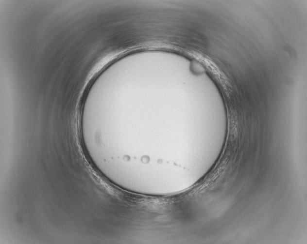 X0000115771286200912041424