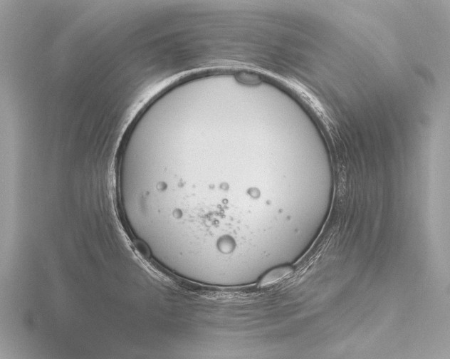 X0000115771287200912041424