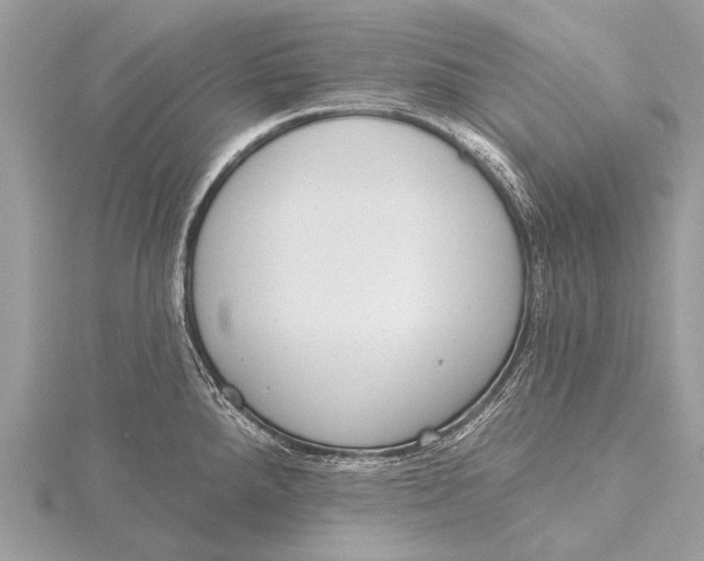 X0000115771288200912041424