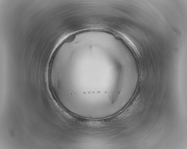 X0000115771291200912041424