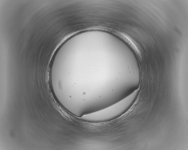 X0000115771292200912041424