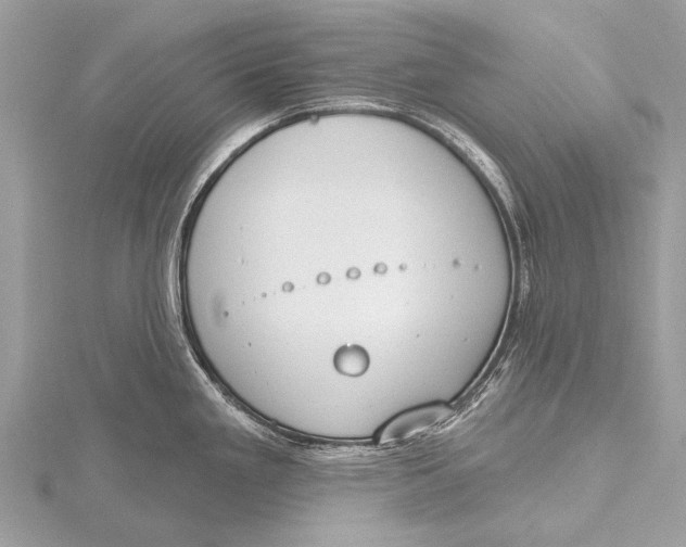 X0000115771293200912041424