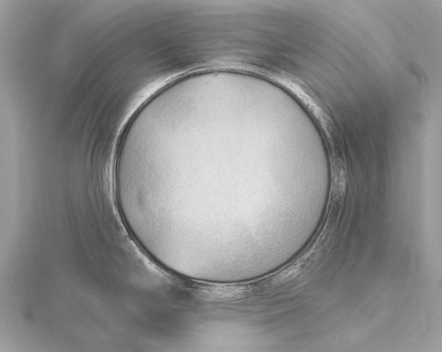 X0000115771294200912041424