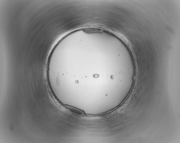 X0000115771296200912041424