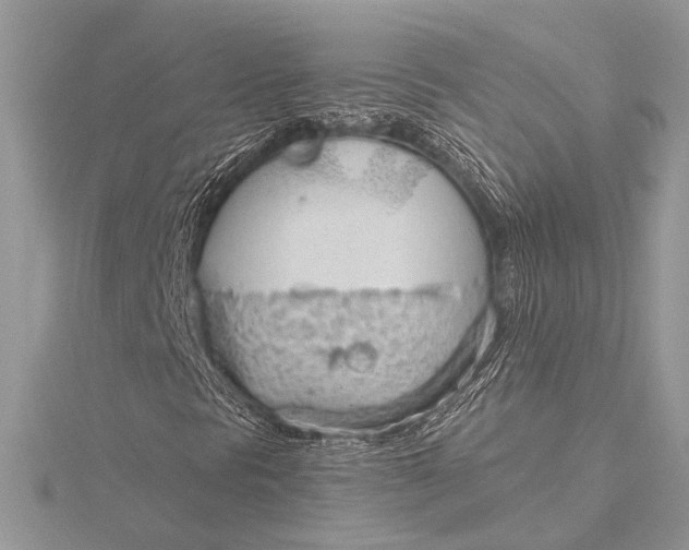 X0000115771297200912041423