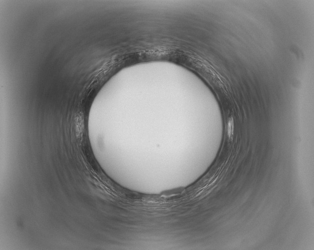 X0000115771299200912041423