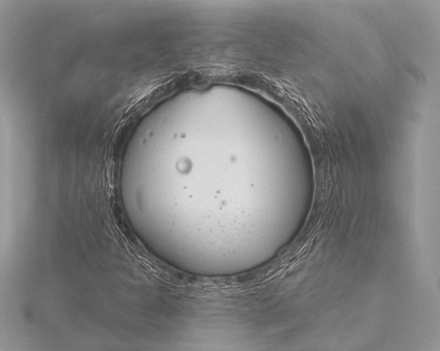 X0000115771301200912041423