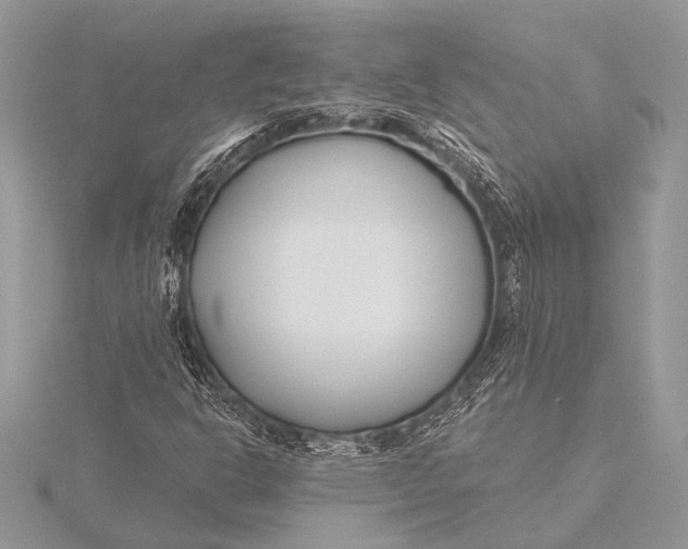 X0000115771302200912041423