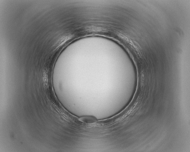 X0000115771305200912041423