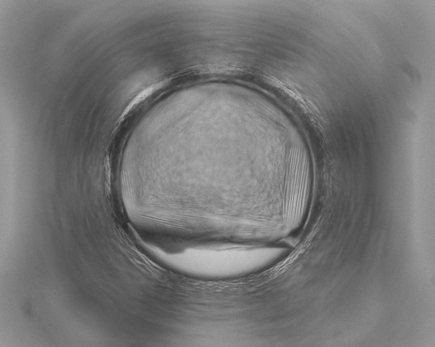 X0000115771306200912041423