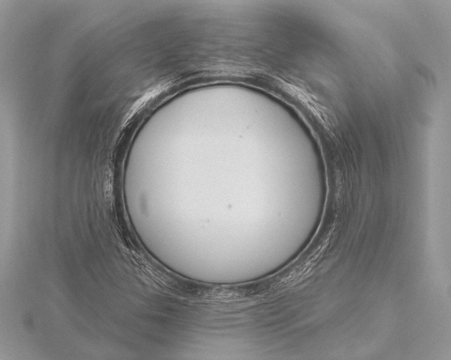 X0000115771307200912041423