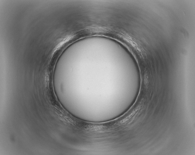 X0000115771309200912041423