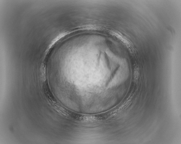 X0000115771310200912041423