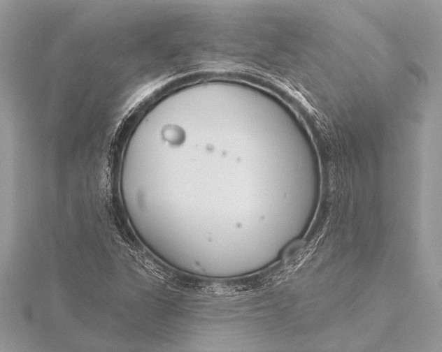 X0000115771311200912041423