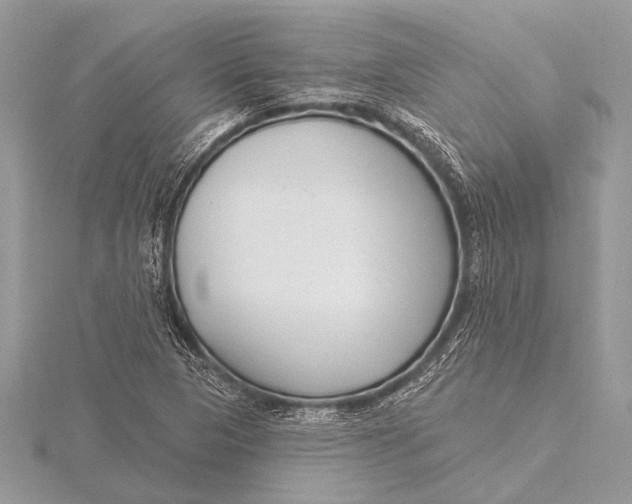 X0000115771313200912041423