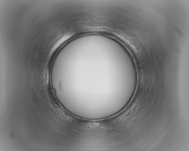 X0000115771317200912041423