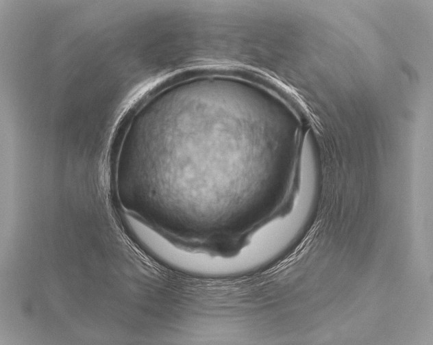 X0000115771319200912041423