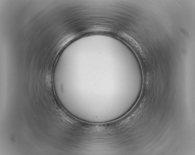 X0000115771321200912041423