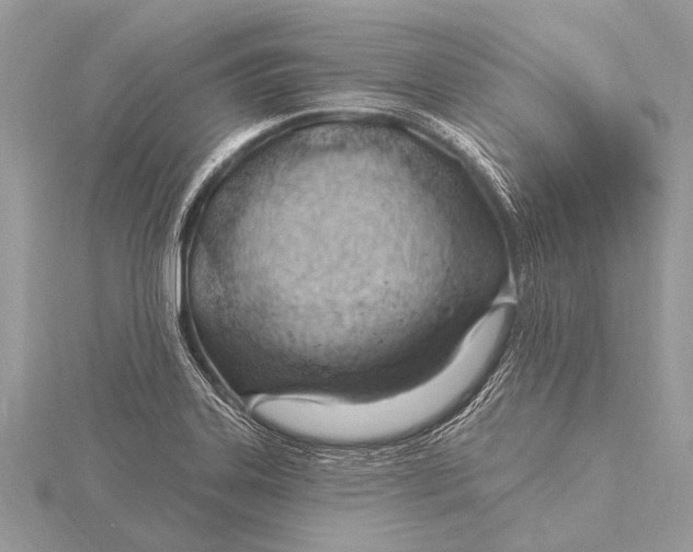 X0000115771323200912041423