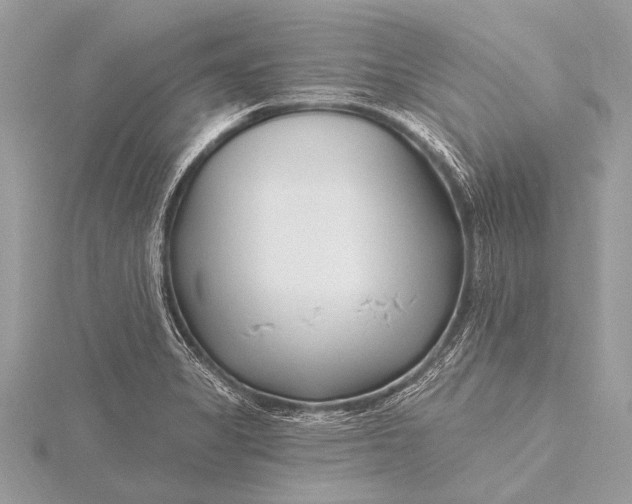 X0000115771325200912041423