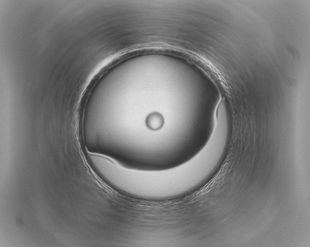 X0000115771326200912041423