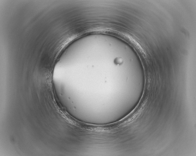 X0000115771329200912041423