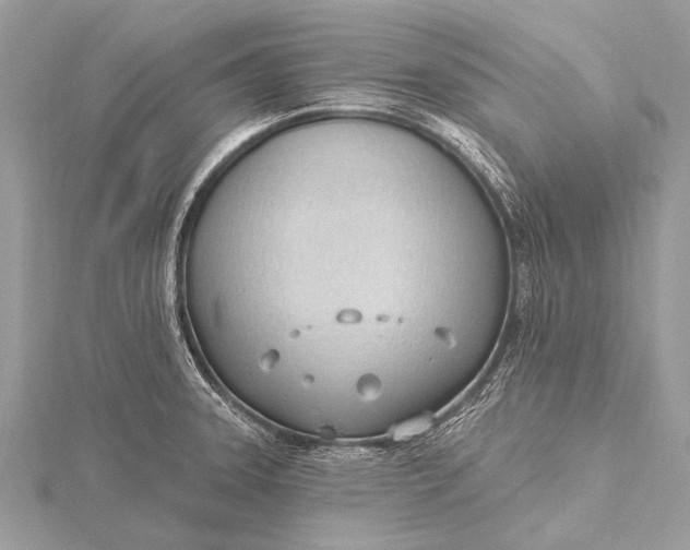 X0000115771331200912041423