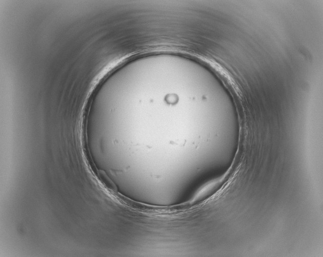 X0000115771333200912041423