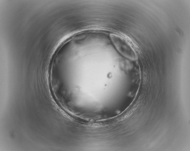 X0000115771334200912041423