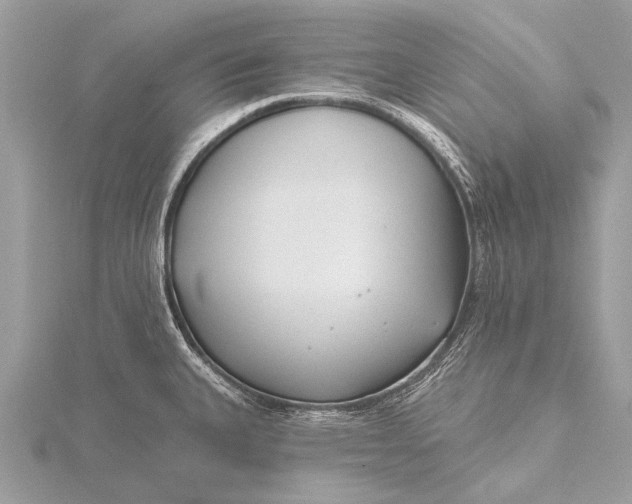 X0000115771335200912041424