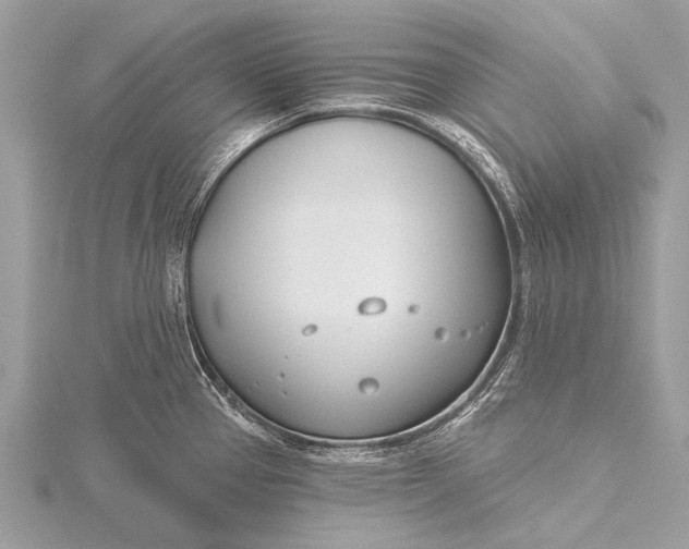 X0000115771337200912041424