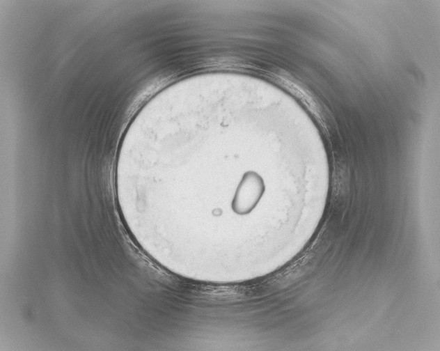 X0000115771338200912041424