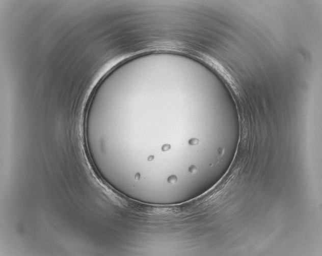 X0000115771339200912041424