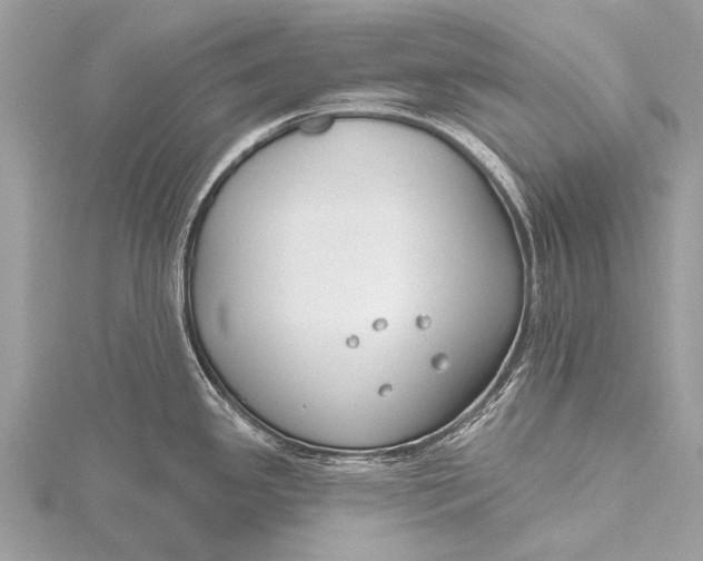 X0000115771341200912041424