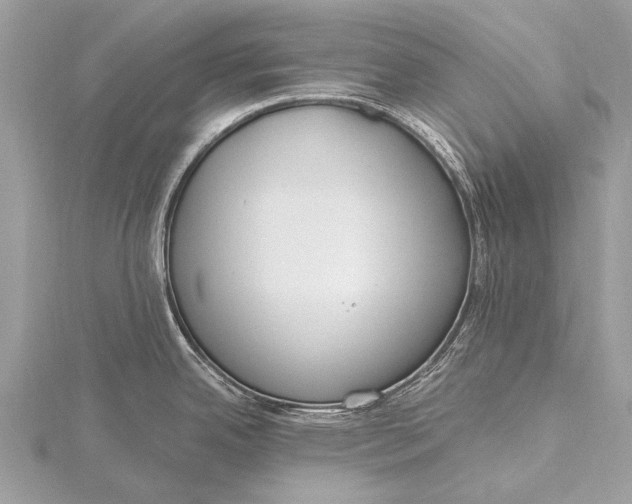 X0000115771342200912041424