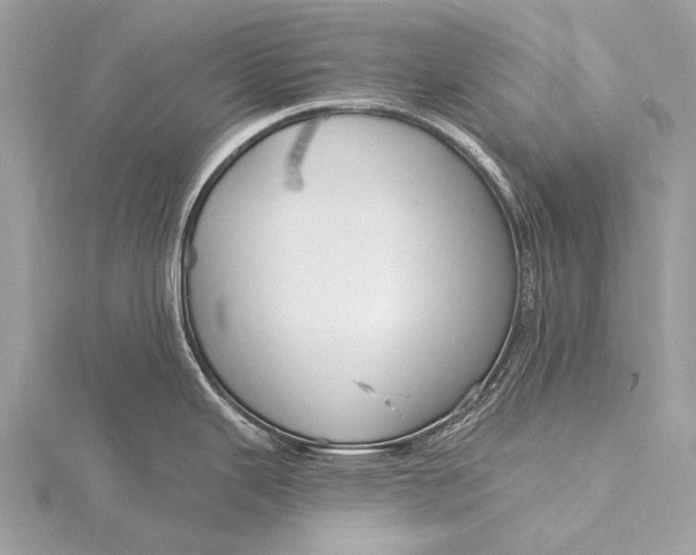 X0000115771343200912041424