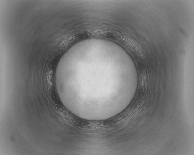 X0000115771346200912041423