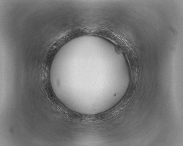 X0000115771349200912041423