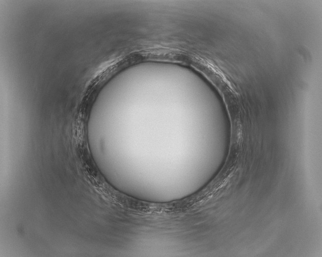 X0000115771350200912041423