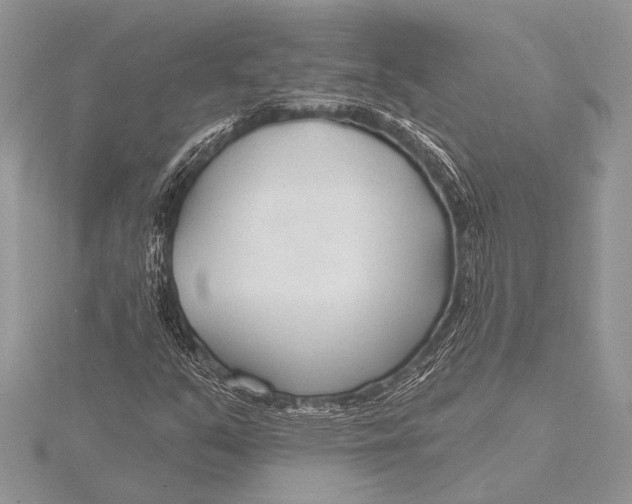 X0000115771351200912041423