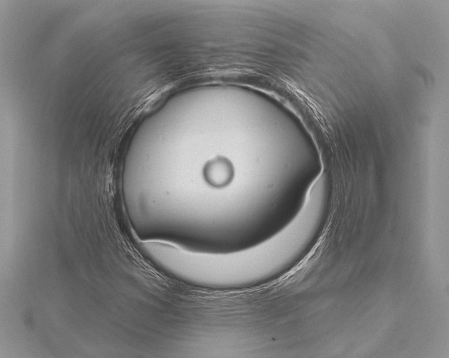 X0000115771353200912041423