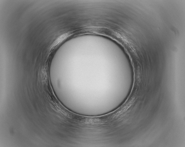 X0000115771354200912041423