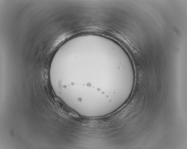 X0000115771355200912041423