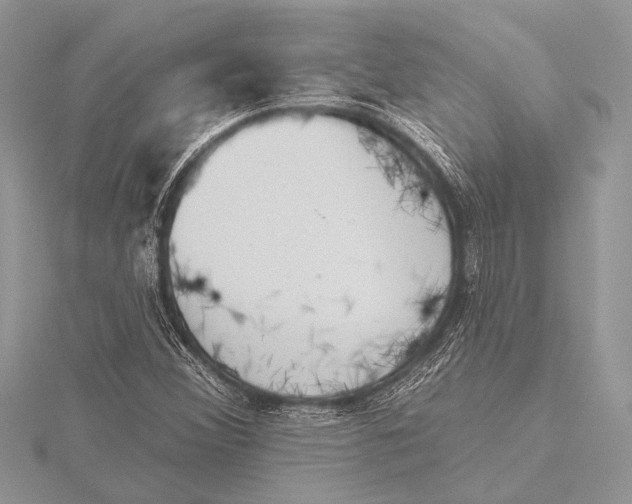 X0000115771356200912041423