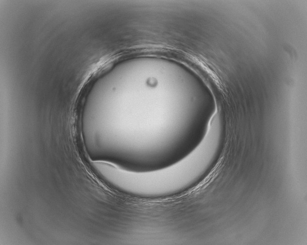 X0000115771357200912041423