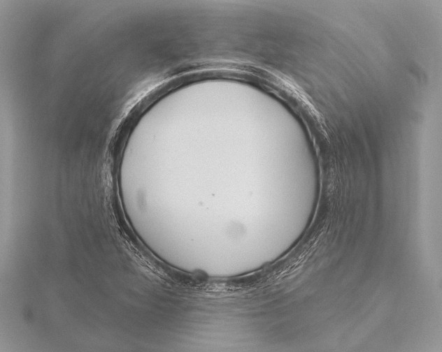 X0000115771360200912041423