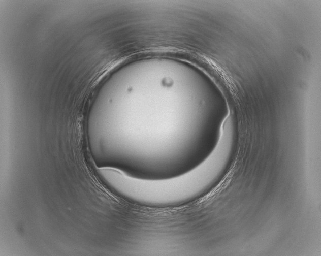 X0000115771361200912041423