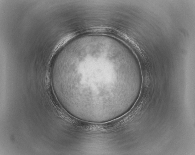 X0000115771362200912041423